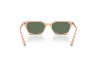 Achteraanzicht Ray-Ban ZAYA (RB4456 - 681182)