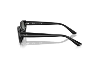 Zijaanzicht Ray-Ban RB4457D (667711)