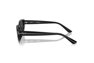Zijaanzicht Ray-Ban RB4457D (667787)