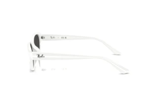 Zijaanzicht Ray-Ban RB4457D (677287)