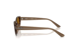 Zijaanzicht Ray-Ban RB4457D (677983)