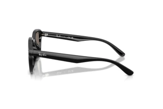 Zijaanzicht Ray-Ban RB4458D (601/6V)