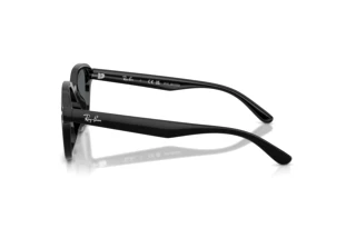 Zijaanzicht Ray-Ban RB4458D (601/81)