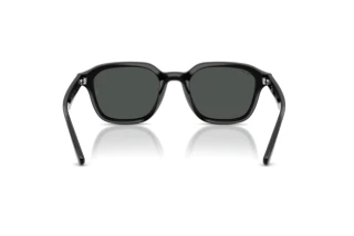 Achteraanzicht Ray-Ban RB4458D (601/87)