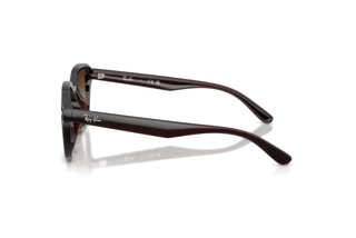Zijaanzicht Ray-Ban RB4458D (714/13)