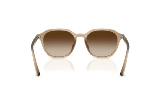 Achteraanzicht Ray-Ban RB4459D (616613)