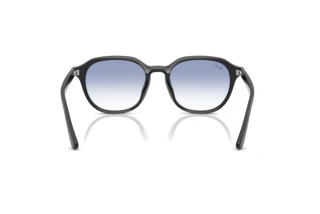 Achteraanzicht Ray-Ban RB4459D (623019)
