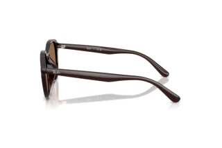 Zijaanzicht Ray-Ban RB4459D (623173)