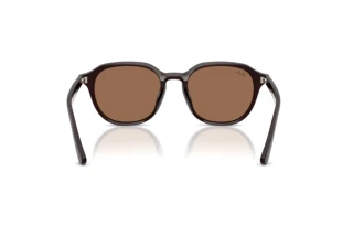 Achteraanzicht Ray-Ban RB4459D (623173)