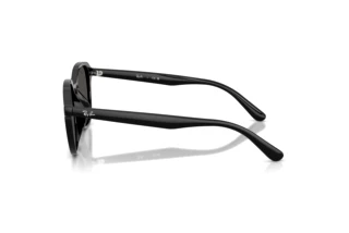 Zijaanzicht Ray-Ban RB4459D (901/87)