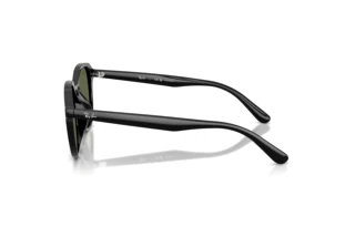 Zijaanzicht Ray-Ban RB4459D (901/9A)