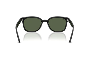 Achteraanzicht Ray-Ban RB4461D (601/71)