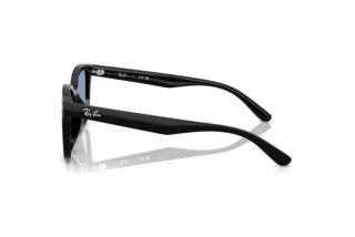 Zijaanzicht Ray-Ban RB4461D (601/80)