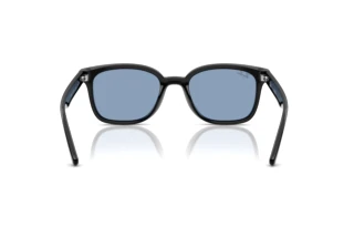 Achteraanzicht Ray-Ban RB4461D (601/80)