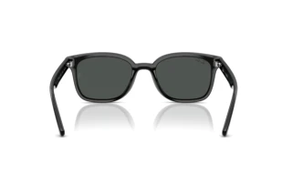 Achteraanzicht Ray-Ban RB4461D (601/87)