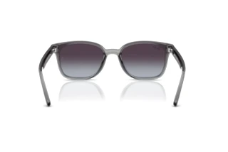 Achteraanzicht Ray-Ban RB4461D (64508G)