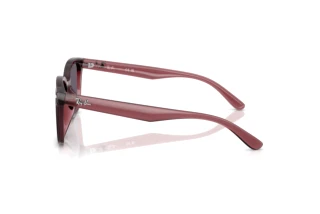 Zijaanzicht Ray-Ban RB4461D (659373)