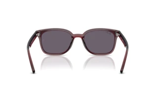 Achteraanzicht Ray-Ban RB4461D (659373)