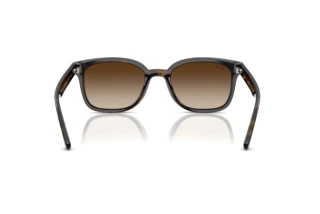 Achteraanzicht Ray-Ban RB4461D (710/13)
