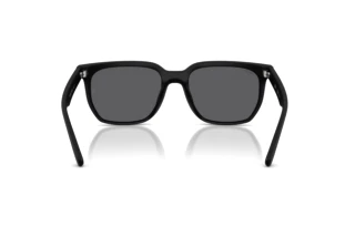 Achteraanzicht Ray-Ban RB4466D (601S81)