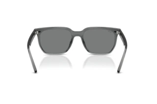 Achteraanzicht Ray-Ban RB4466D (645087)