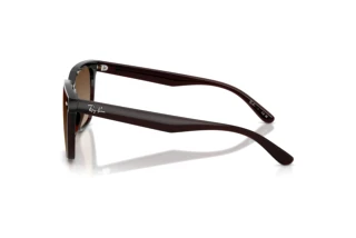 Zijaanzicht Ray-Ban RB4466D (714/13)