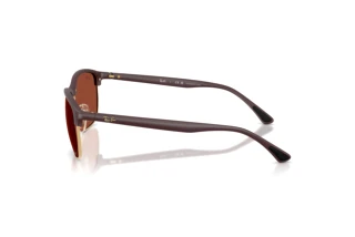 Zijaanzicht Ray-Ban RB4469 (64451B)