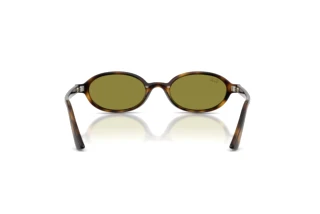 Achteraanzicht Ray-Ban RB4472 (1359/2)
