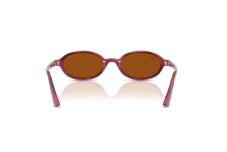 Achteraanzicht Ray-Ban RB4472 (685773)