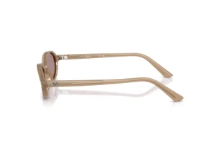 Zijaanzicht Ray-Ban RB4472 (6891LA)