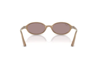 Achteraanzicht Ray-Ban RB4472 (6891LA)