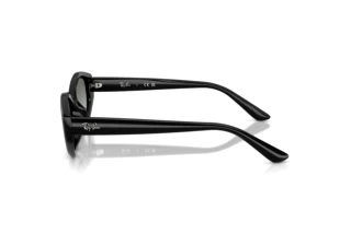 Zijaanzicht Ray-Ban RB4473D (667711)