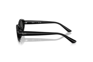 Zijaanzicht Ray-Ban RB4473D (667787)