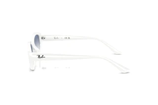 Zijaanzicht Ray-Ban RB4473D (677219)