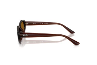 Zijaanzicht Ray-Ban RB4473D (714/83)