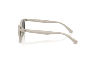 Zijaanzicht Ray-Ban RB4474D (685887)