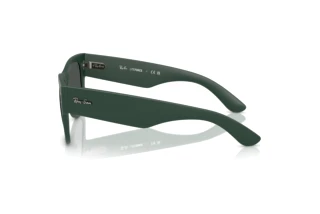 Zijaanzicht Ray-Ban RB4840S (665787)