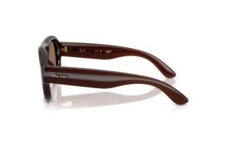 Zijaanzicht Ray-Ban RB4925 (689673)