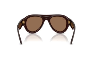 Achteraanzicht Ray-Ban RB4925 (689673)