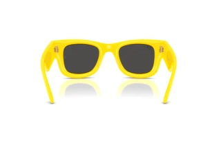 Achteraanzicht Ray-Ban WAYFARER PUFFER (RB4940 - 683087)