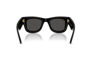 Achteraanzicht Ray-Ban WAYFARER PUFFER (RB4940BP - 686587)