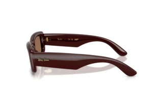 Zijaanzicht Ray-Ban RB4944 (687773)