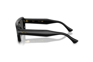 Zijaanzicht Ray-Ban RB4954 (601/87)