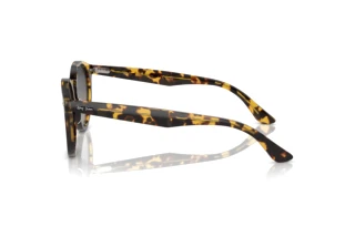 Zijaanzicht Ray-Ban LARRY (RB7680S - 1332GL)