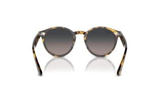 Achteraanzicht Ray-Ban LARRY (RB7680S - 1332GL)