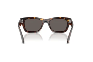 Achteraanzicht Ray-Ban JOSEPH (RB7683S - 902/B1)