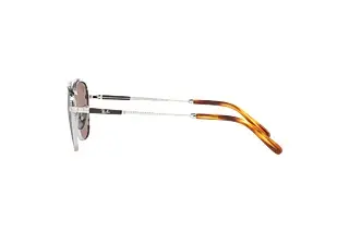 Zijaanzicht Ray-Ban FRANK II TITANIUM (RB8258 - 3139O4)