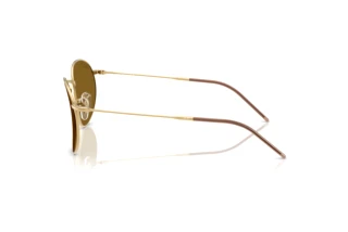 Zijaanzicht Ray-Ban ROUND REVERSE (RBR0103S - 001/83)