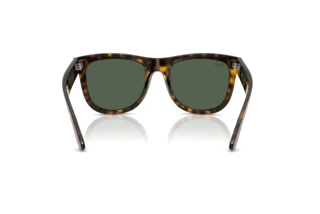 Achteraanzicht Ray-Ban WAYFARER REVERSE (RBR0502S - 6790VR)