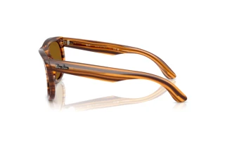 Zijaanzicht Ray-Ban WAYFARER REVERSE (RBR0502S - 679183)